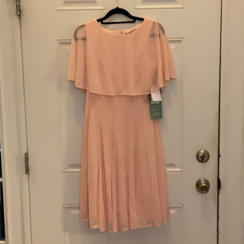 BRAND NEW gorgeous pink dress!